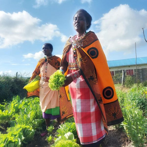 ORGANIC GARDEN